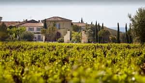Château de Beaucastel - D'or et de vins