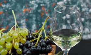 article récent du blog