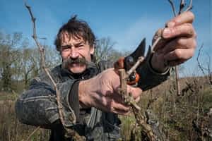 Vin Bio - Joseph Landron - domaine Landron - D'or et de vins