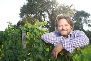 Vin Bio - Marc Imbert - domaine de Torraccia - D'or et de vins