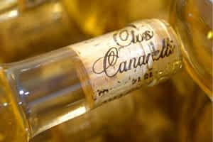 article récent du blog