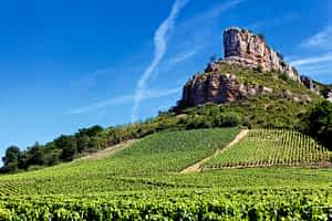 article récent du blog