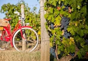 article récent du blog