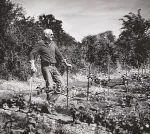 qu'est ce que le vin vegan