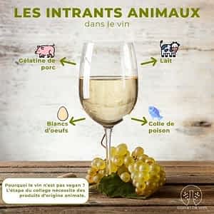 qu'est ce que le vin vegan ?