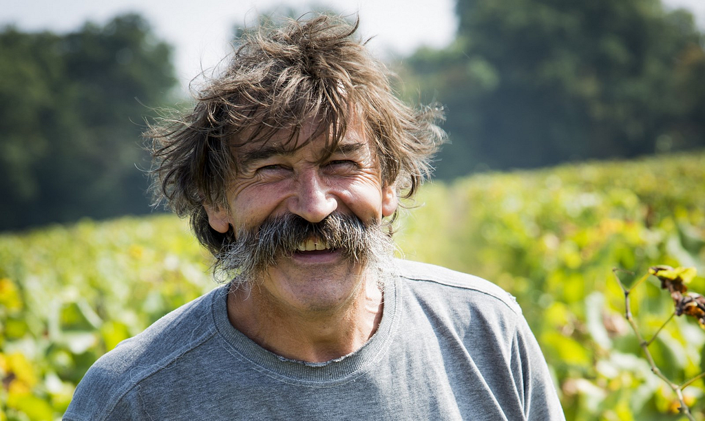 Les vins de la Loire - Domaine Landron – AOC Muscadet Sèvre et Maine - Livraison de vins d'exception à domicile