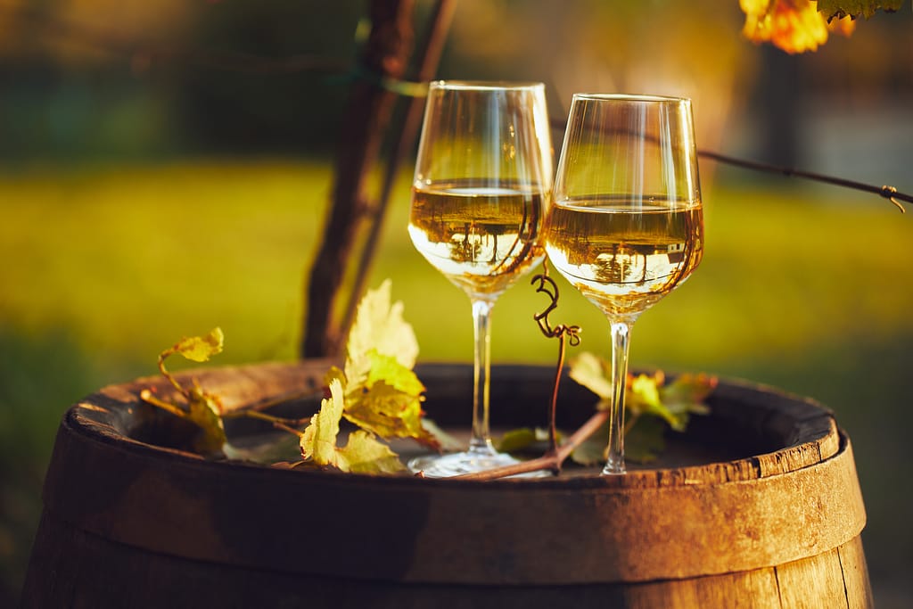 Verres de vin blanc sur un tonneau dans la nature. 