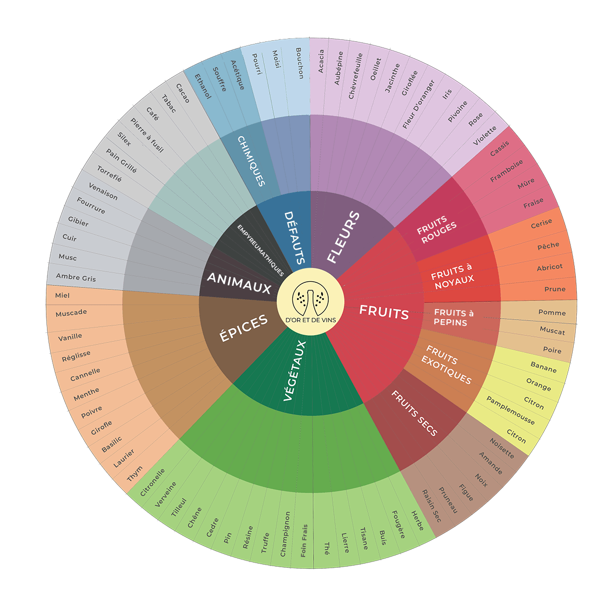 roue des arômes du vin