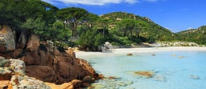 A-la-decouverte-des-vins-corses