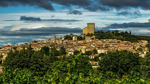 Châteauneuf-du-pape -vins vallée du Rhône d'or et de vins
