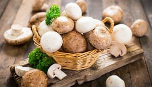 arômes boisés champignons