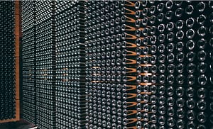 article récent du blog