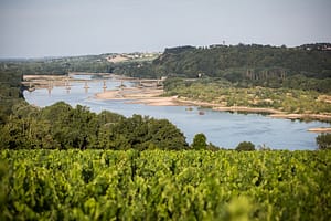 article récent du blog