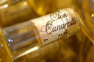 article récent du blog