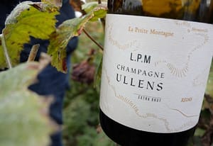 champagne ullens