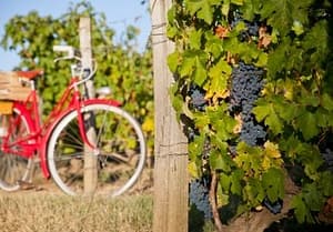 article récent du blog