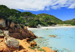 article récent du blog