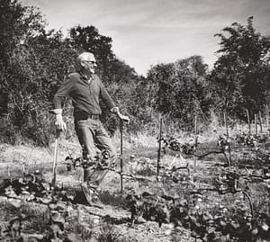 qu'est ce que le vin vegan