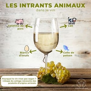 qu'est ce que le vin vegan ?
