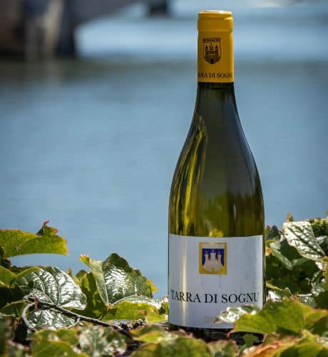 tarra di sognu