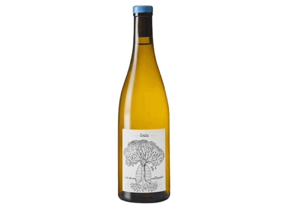 image bouteille de vin
