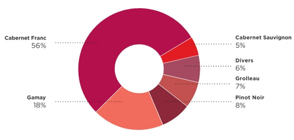 Les vins de la Loire - pourcentage des vins rouge - Livraison de vins d’exception à domicile