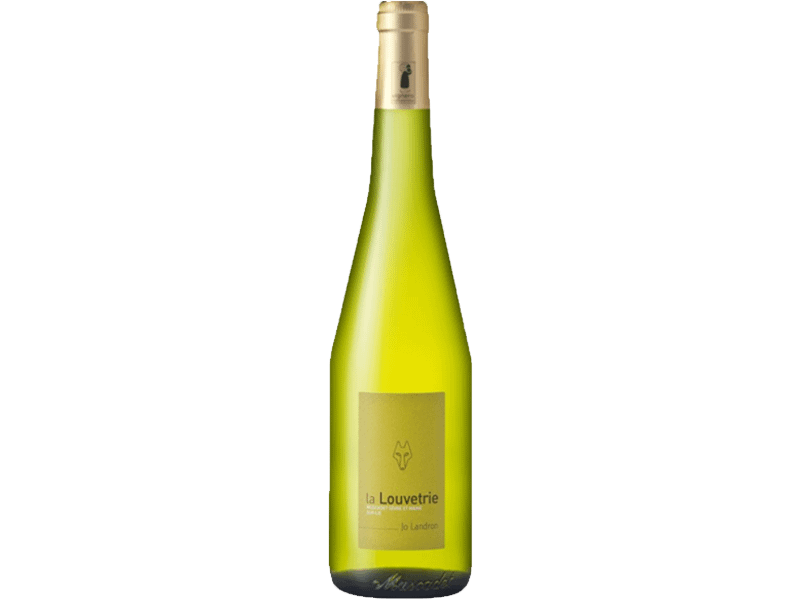 image bouteille de vin