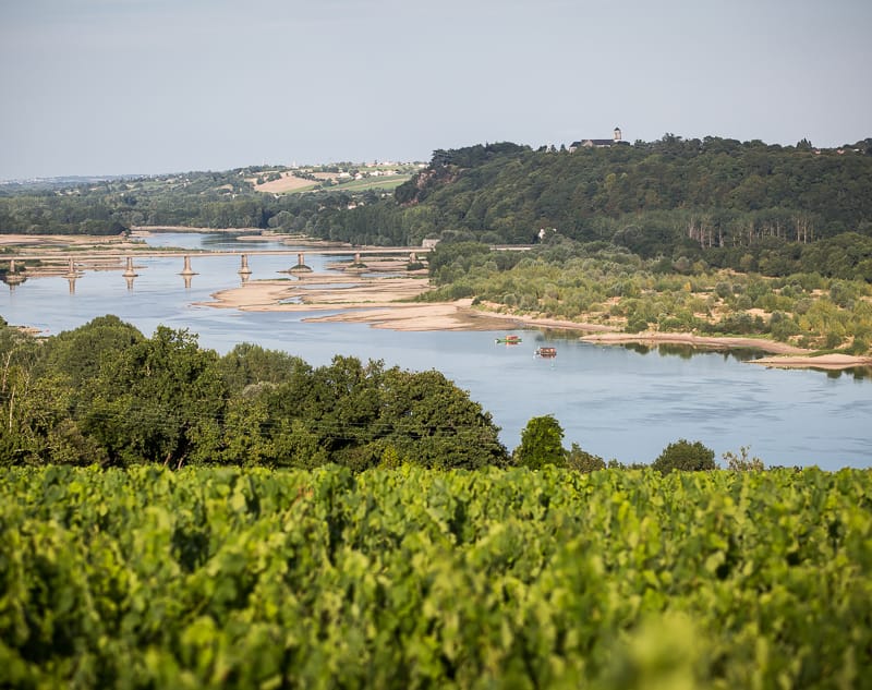 A la découverte des vins de la Loire avec Jean-Luc Jamrozik