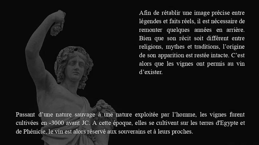 Afin de rétablir une image précise entre légendes et faits réels, il est nécessaire de remonter quelques années en arrière. Bien que son récit soit différent entre religions, mythes et traditions, l’origine de son apparition est restée intacte. C’est alors que les vignes ont permis au vin d’exister. Passant d’une nature sauvage à une nature exploitée par l’homme, les vignes furent cultivées en -3000 avant JC. A cette époque, elles se cultivent sur les terres d'Egypte et de Phénicie, le vin est alors réservé aux souverains et à leurs proches. 